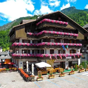 3* Hotel Alle Alpi